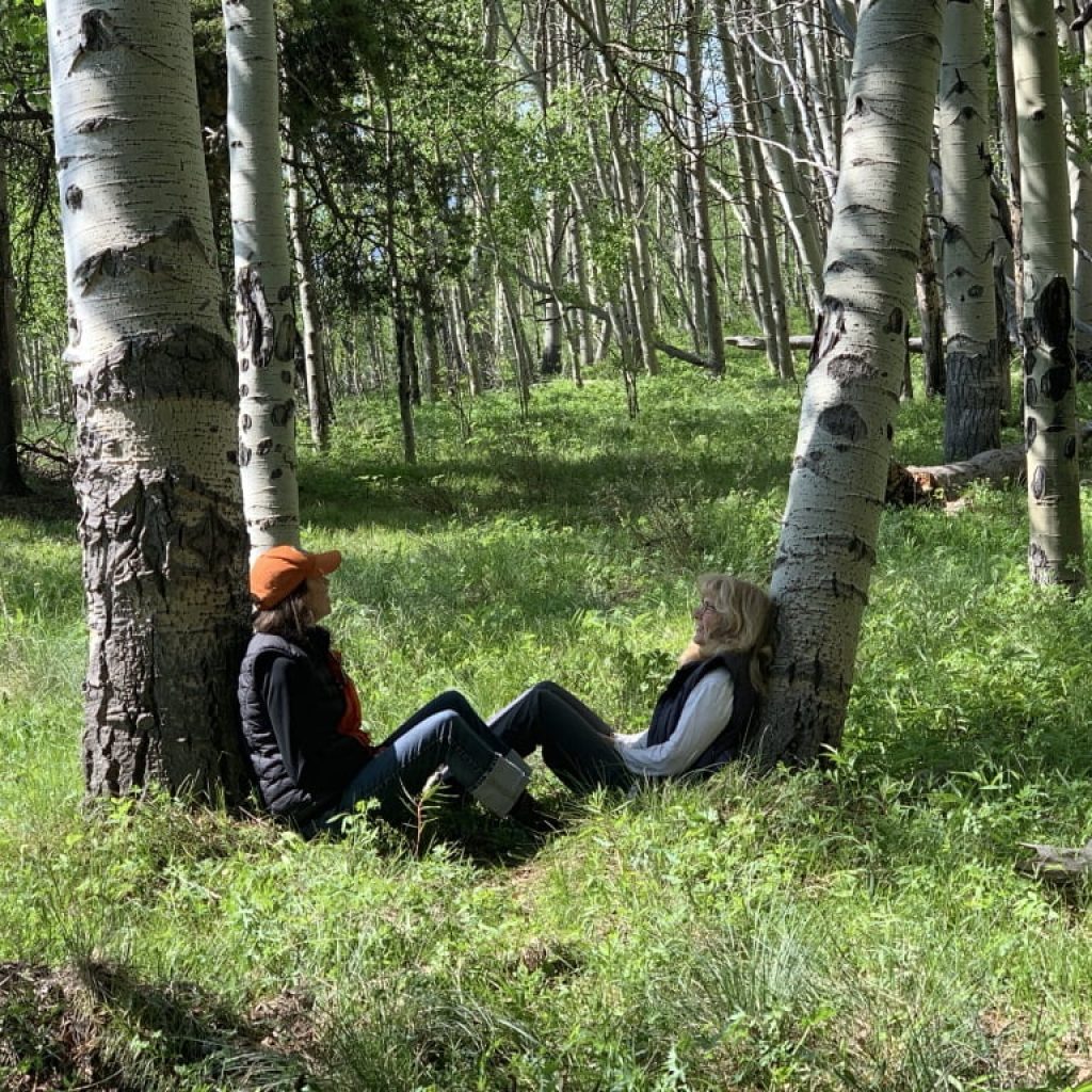 two people sitting next to aspen trees