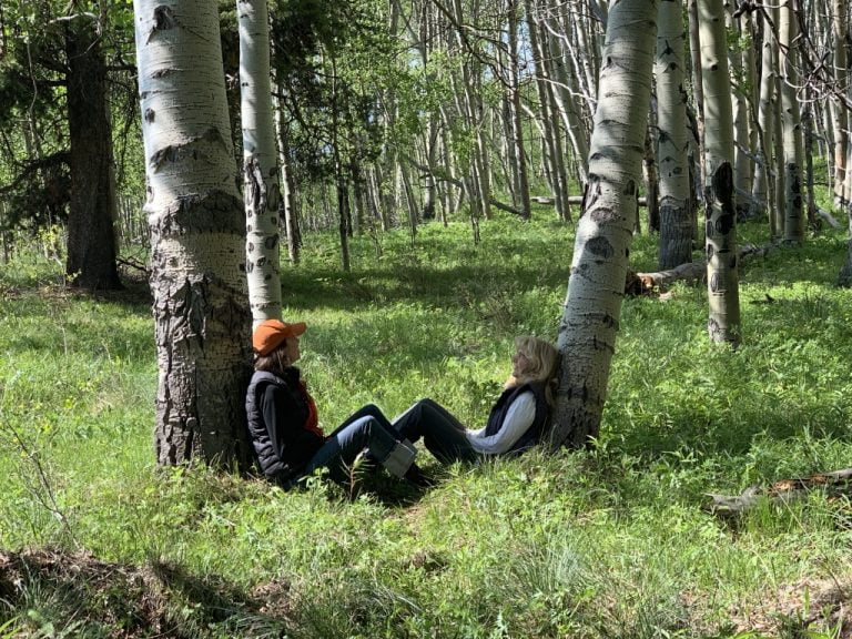 two people sitting next to aspen trees
